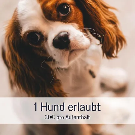 Appartement Einzigartige Stadtvilla, Super Lage, Parkplatz