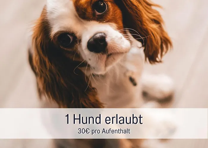 شقة Neu! Einzigartige Stadtvilla, Super Lage, Parkplatz